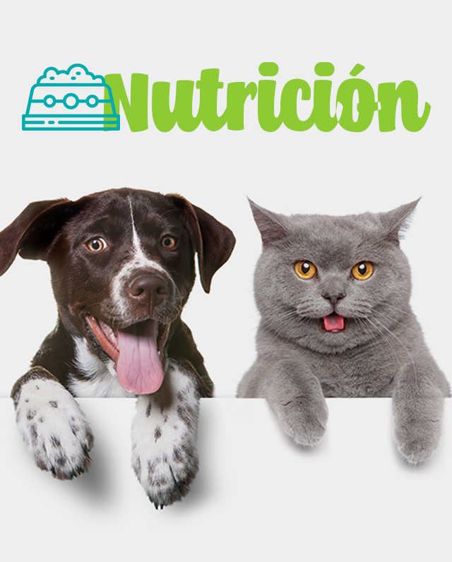 Nutrición