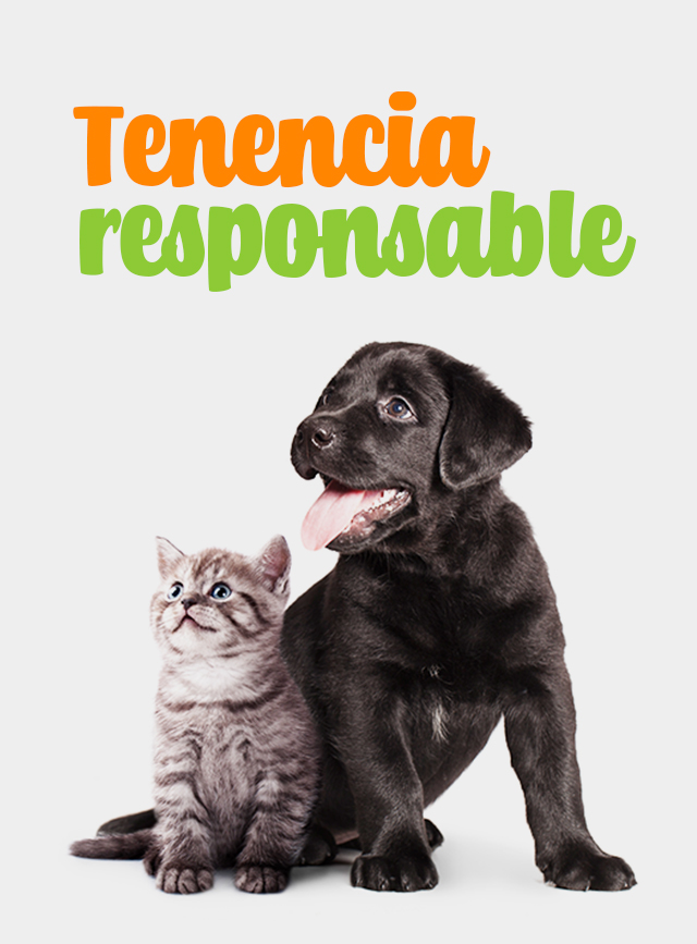 Tenencia Responsable